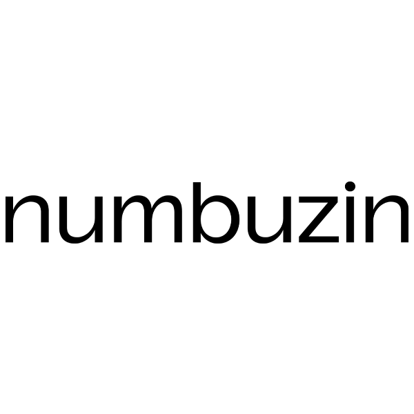 Numbuzin logo