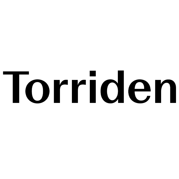 Torriden logo
